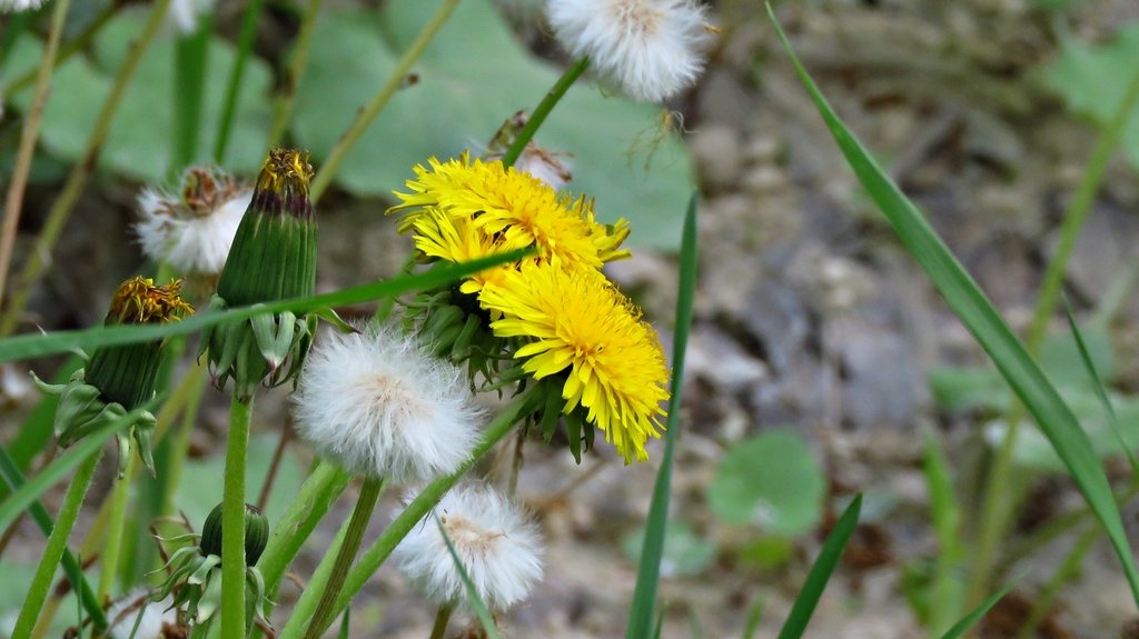 Тема :"Пересечения"