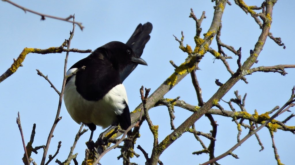 Тема :"Пересечения"
