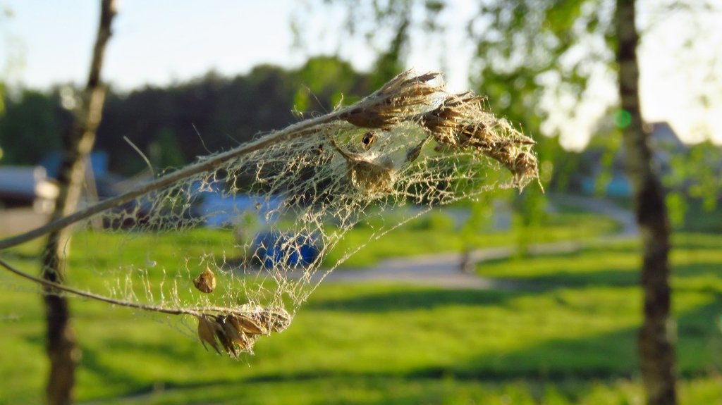 Тема :"Пересечения"