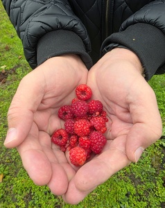 Угощайтесь, друзья!