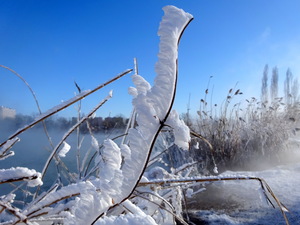 Шедевр  зимы
