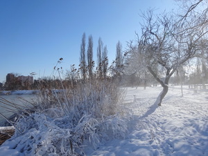 Зима у озера