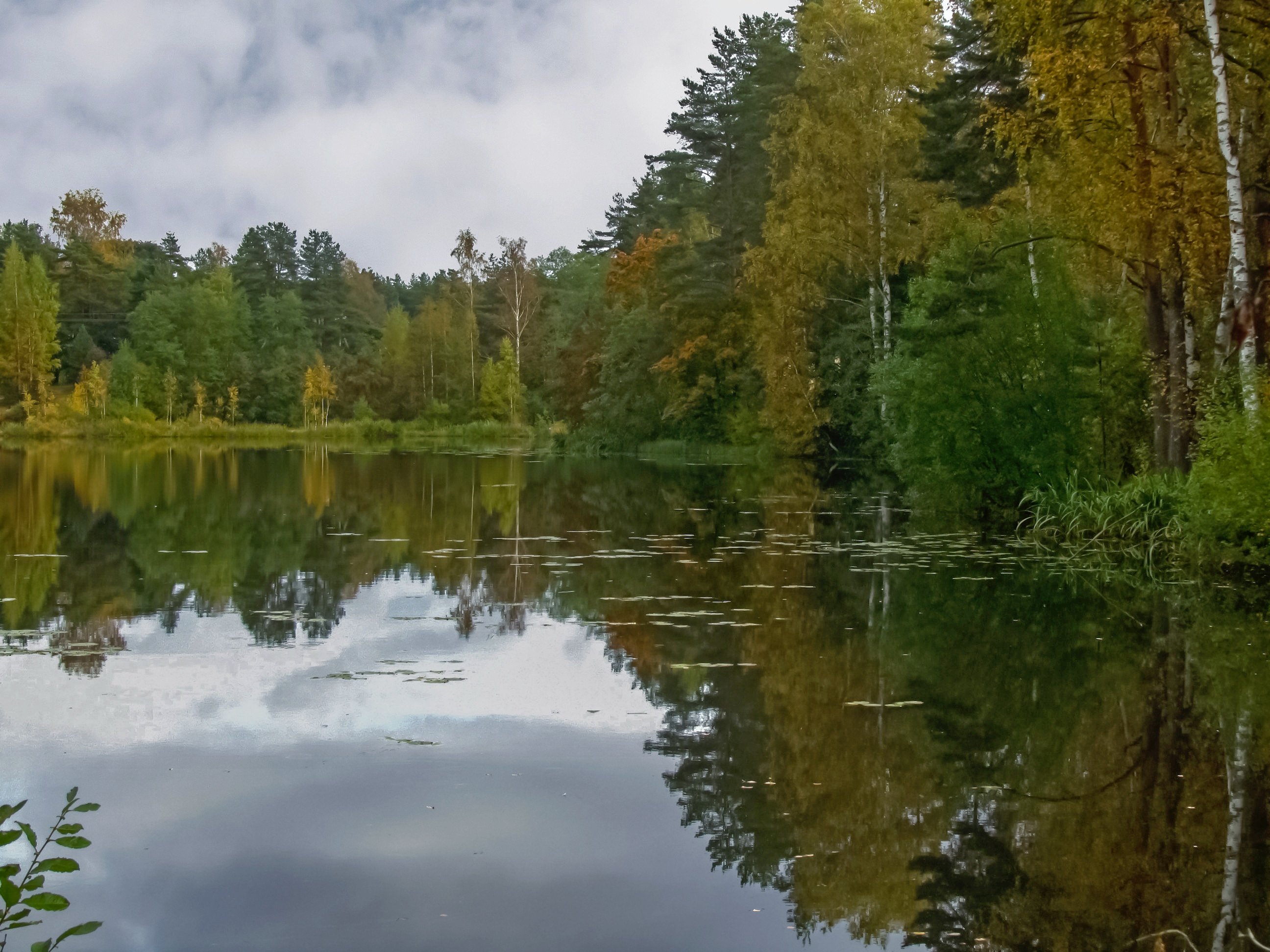 Озеро Вероярви Ленинградская область