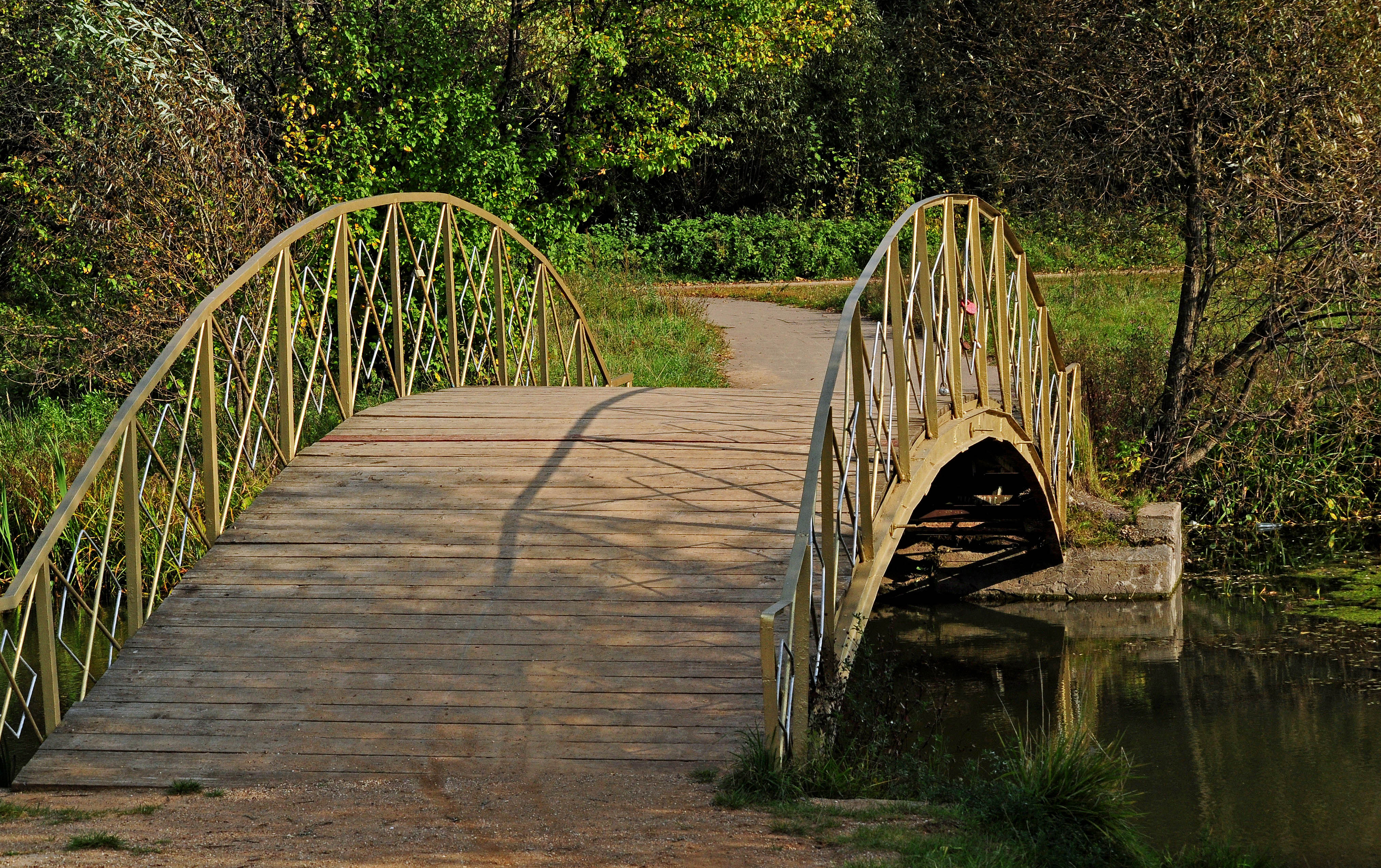 парк кузьминки мост