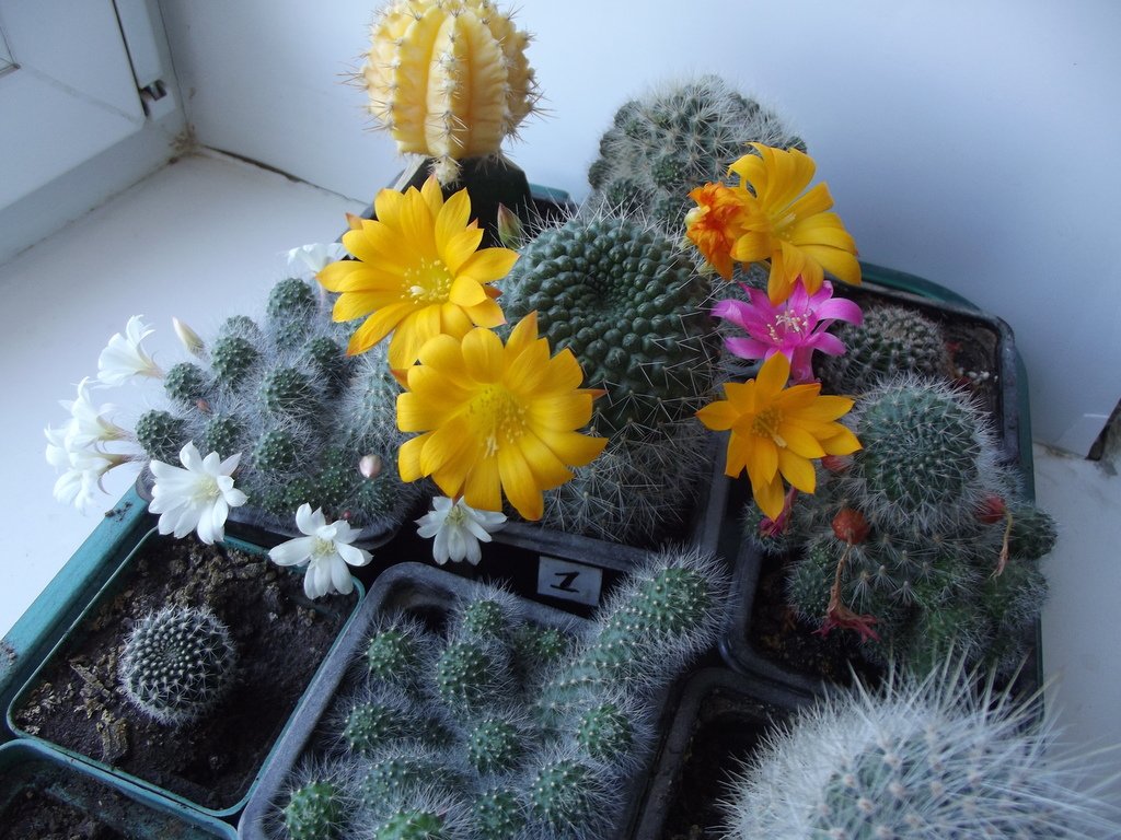 Open in new window