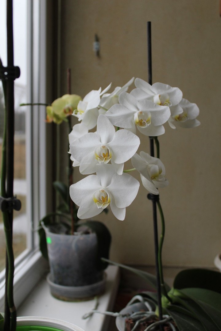 Open in new window