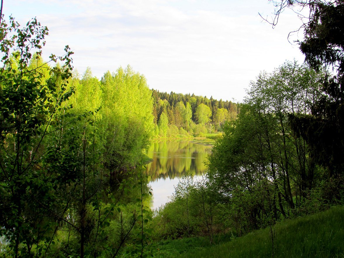 Река лежала. Река Покша Кострома. Река Покша. Поверхность Костромской области. Кострома природа.