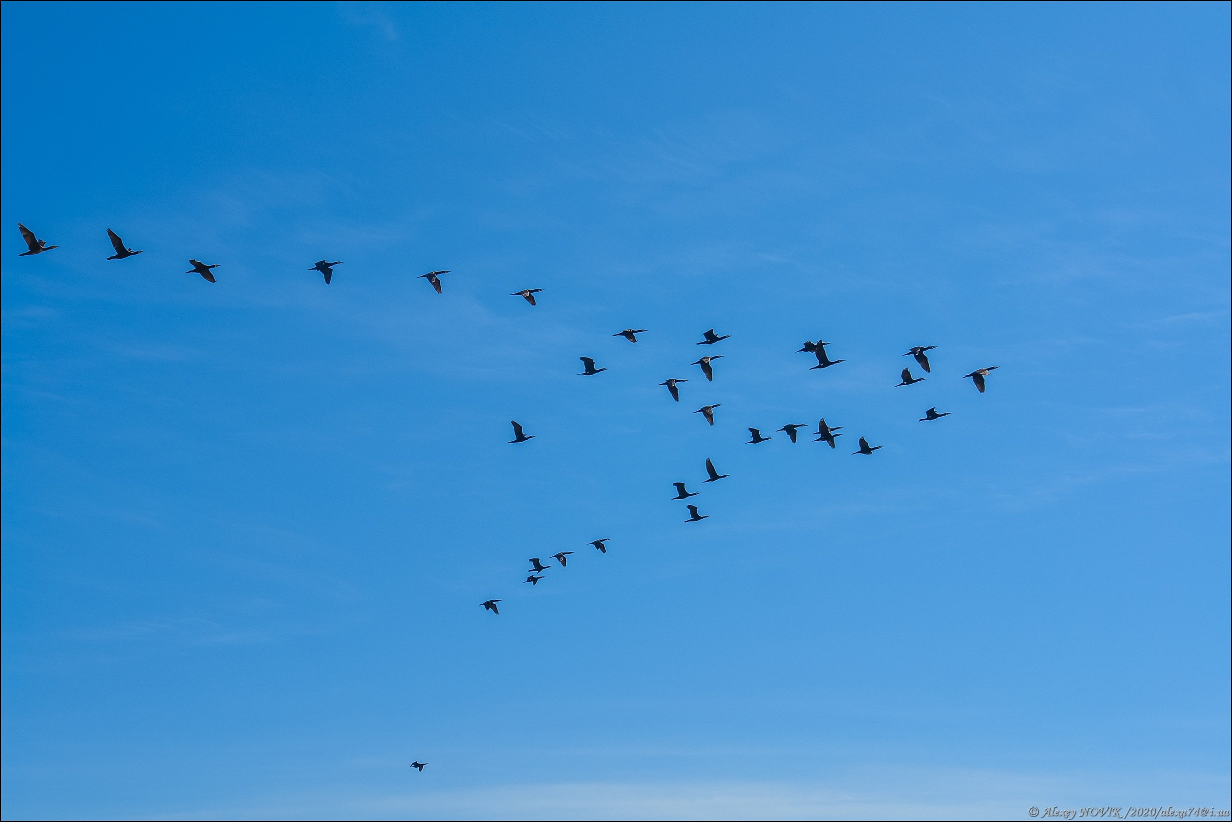Глянь на небо птички летят колокольчики