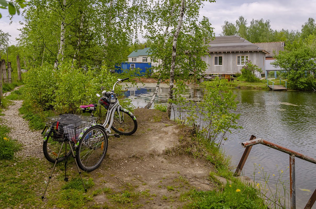 Костино пушкинский район фото