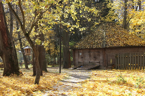 осень в усадьбе Чехова в Мелихово
