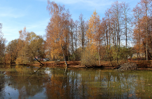 пруд в селе Мелихово