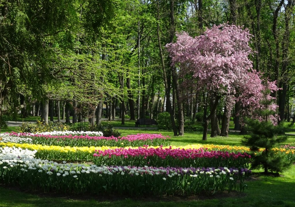 Весна в парке на