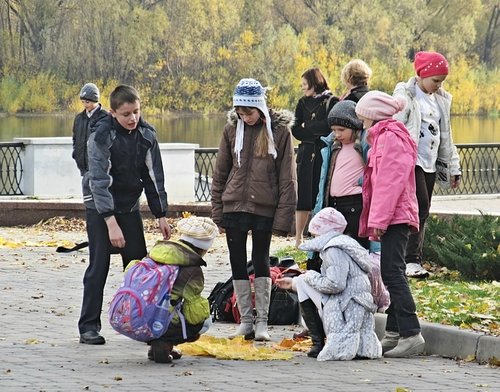 Собрали коллекцию