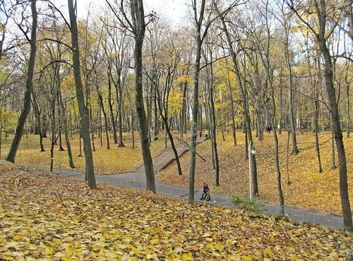 В парке