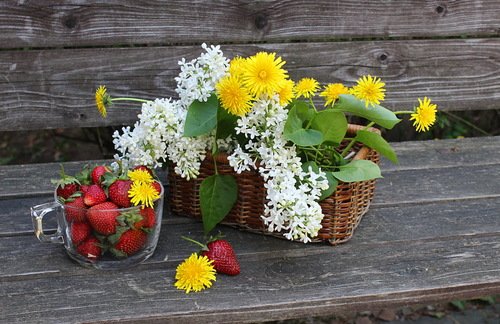 клубника и букет цветов в корзиночке