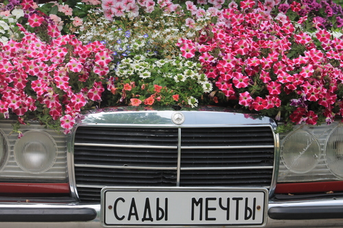 В парке "Сады мечты"