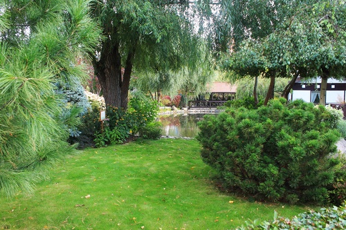 В парке "Сады мечты"