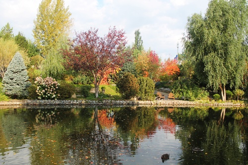 В парке "Сады мечты"