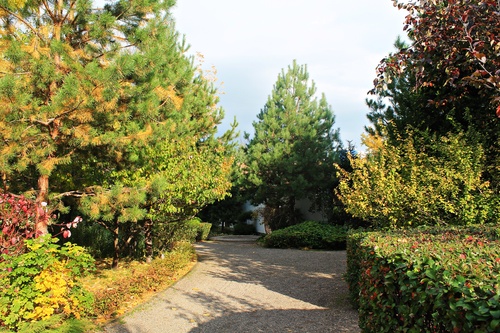 В парке "Сады мечты"