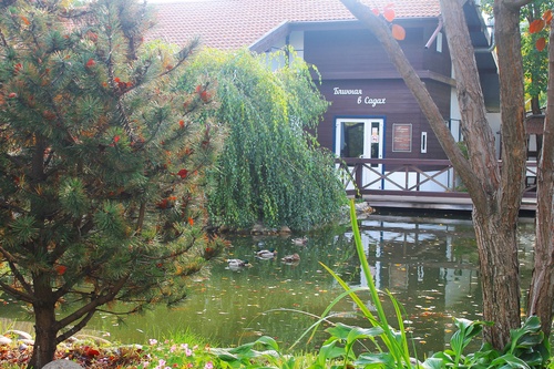 В парке "Сады мечты"