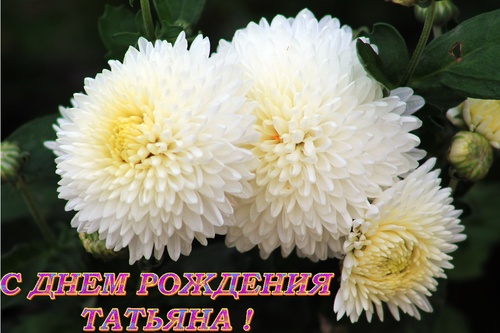 С Днем рождения, Татьяна!