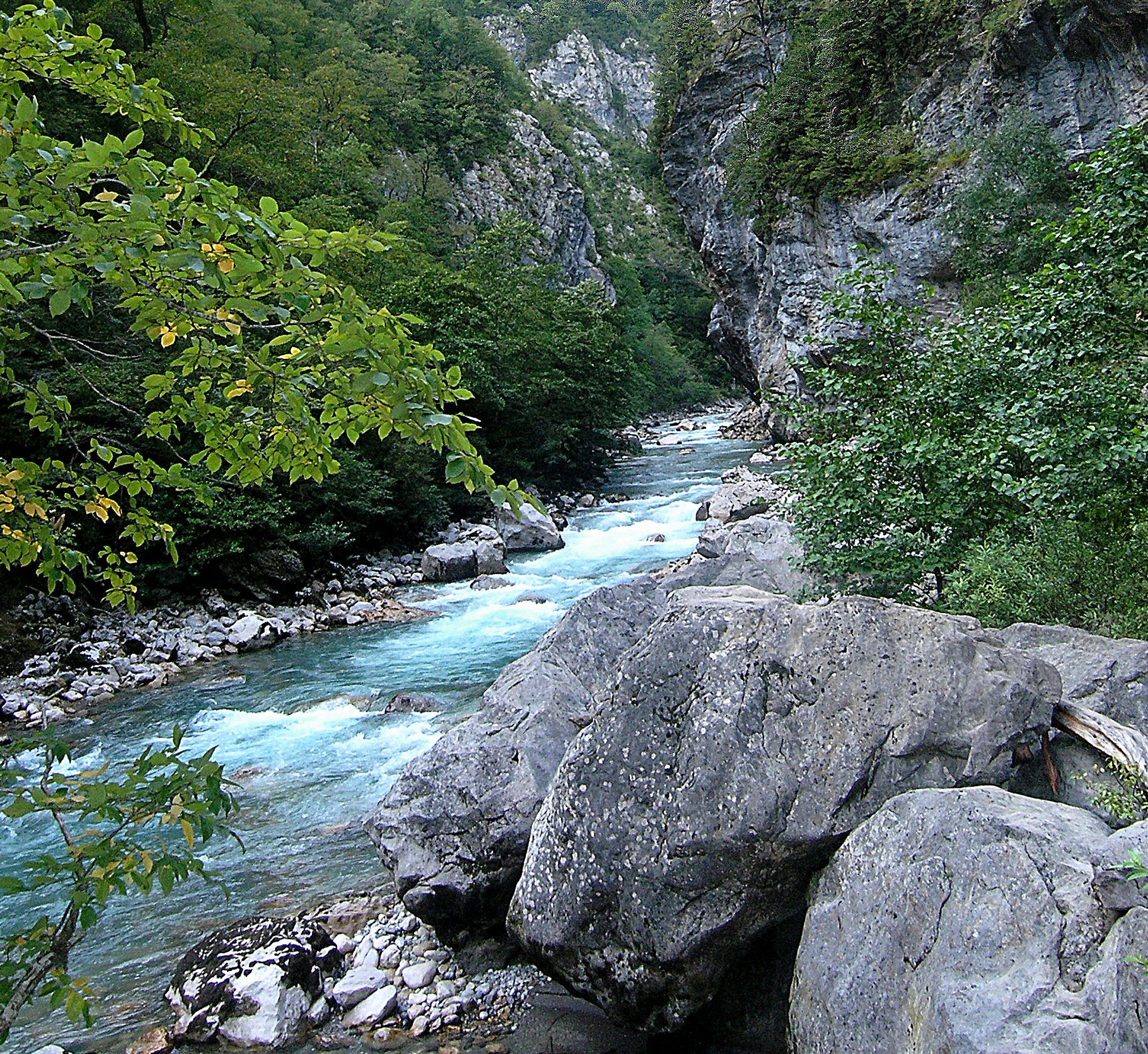 Река терек