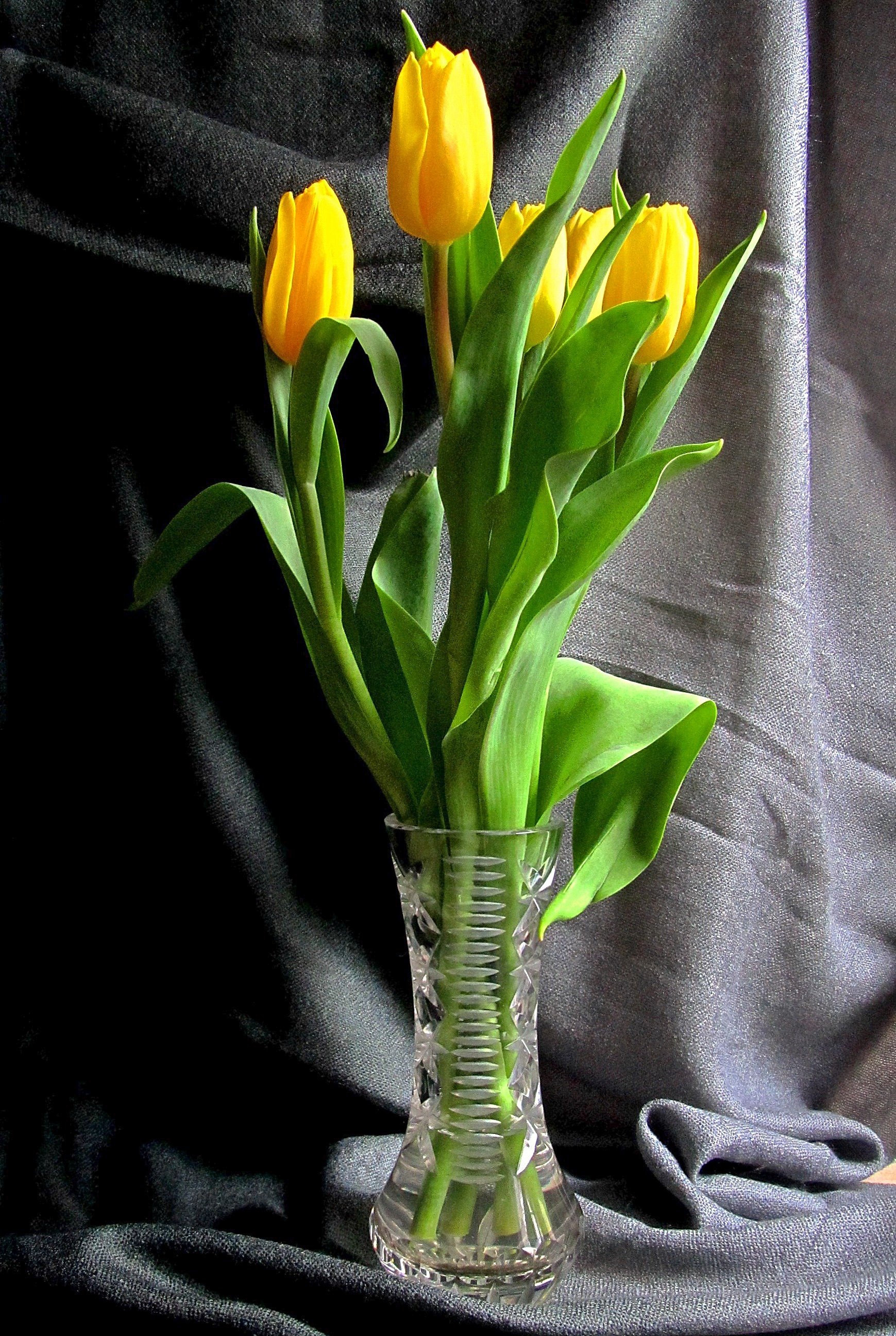 Почему желтые тюльпаны вестники разлуки. Букет желтых тюльпанов в вазе. Желтые тюльпаны вестники. Тюльпаны с праздником. Разлука и тюльпаны.