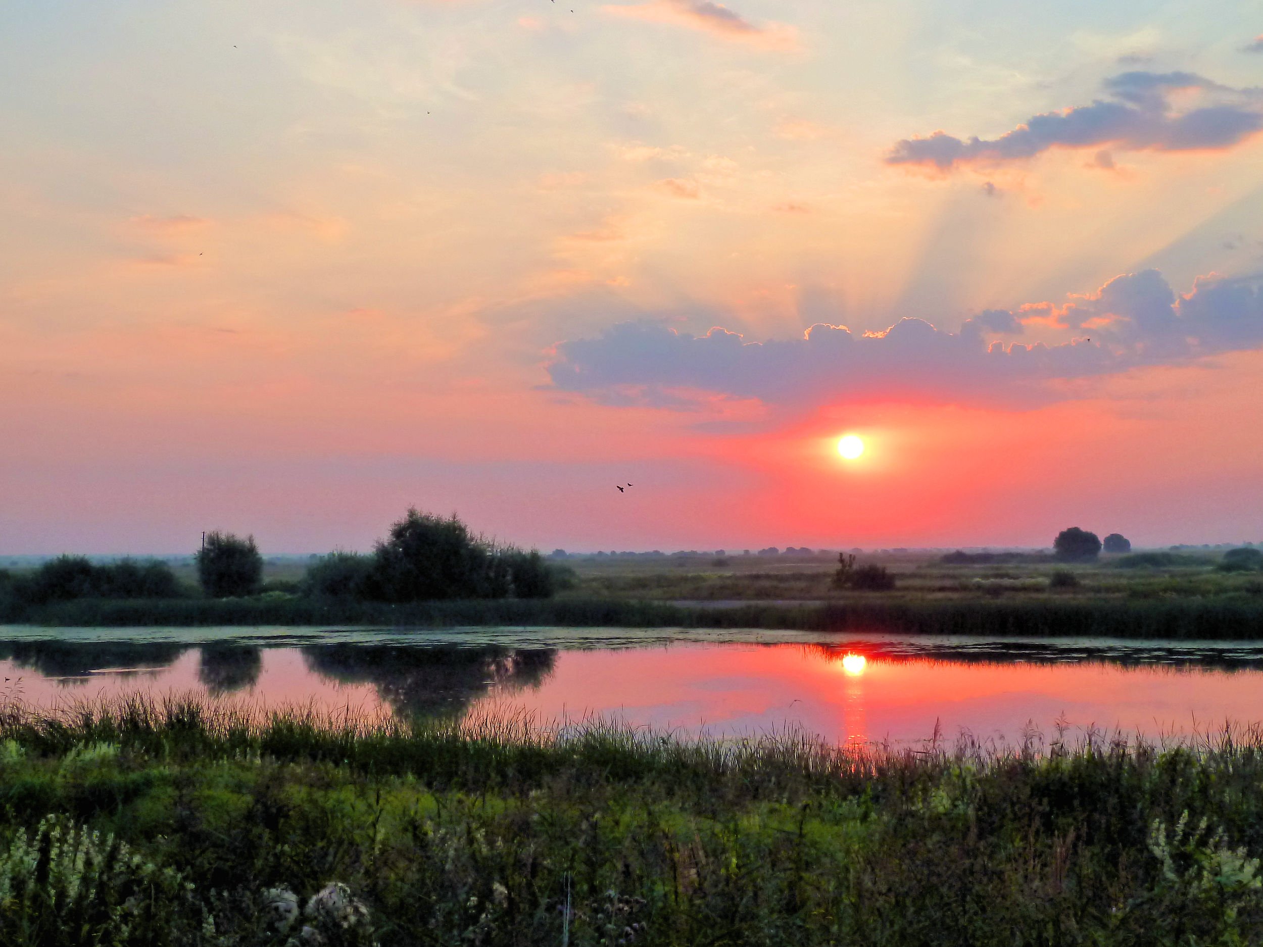 Рассвет на озере Псков