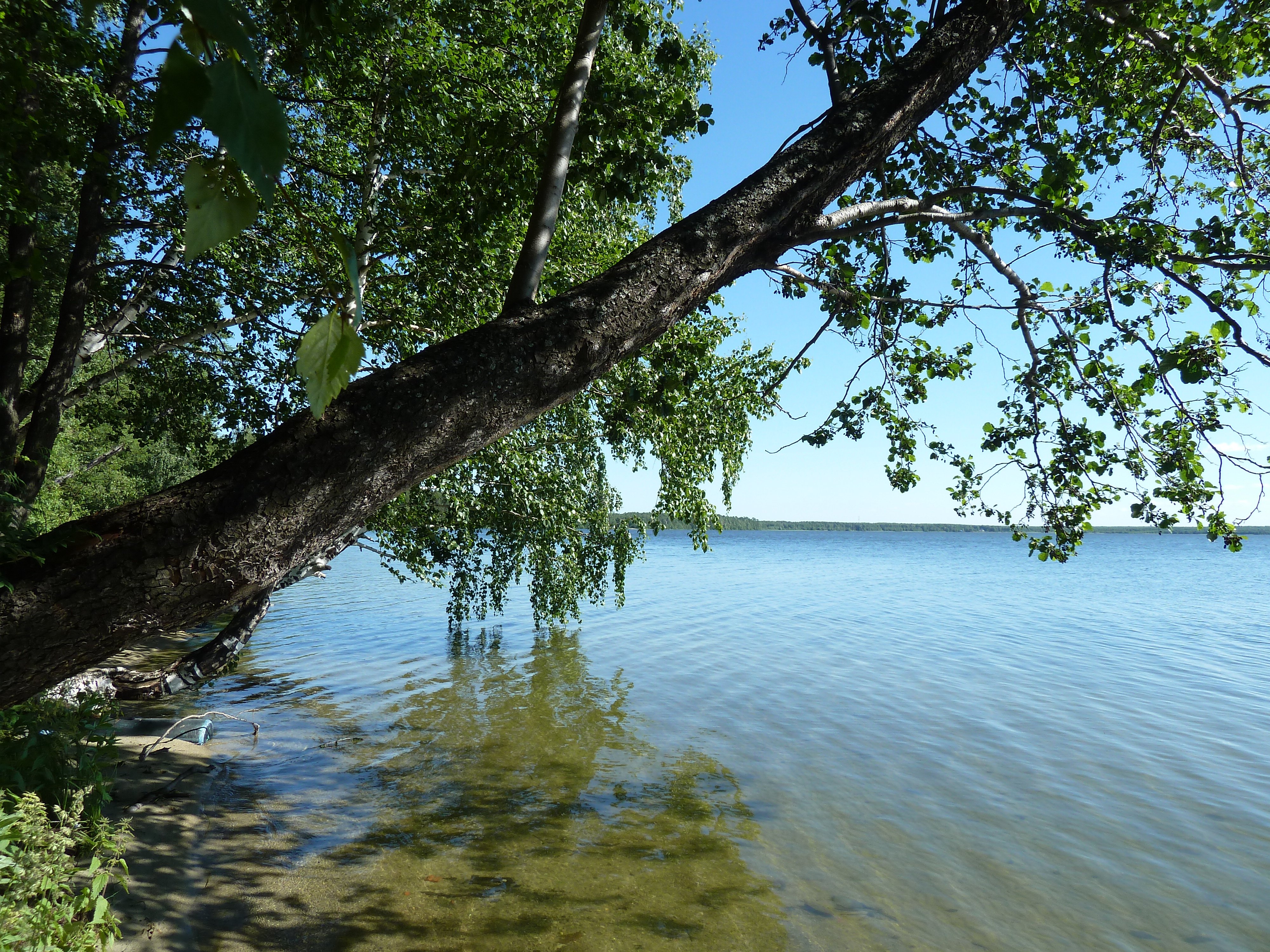 Балтым Екатеринбург озеро озеро