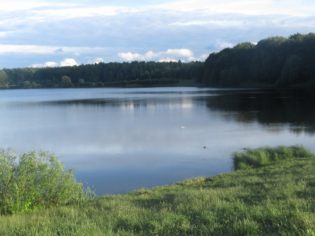 Лебедянский пруд... тучи уплыли