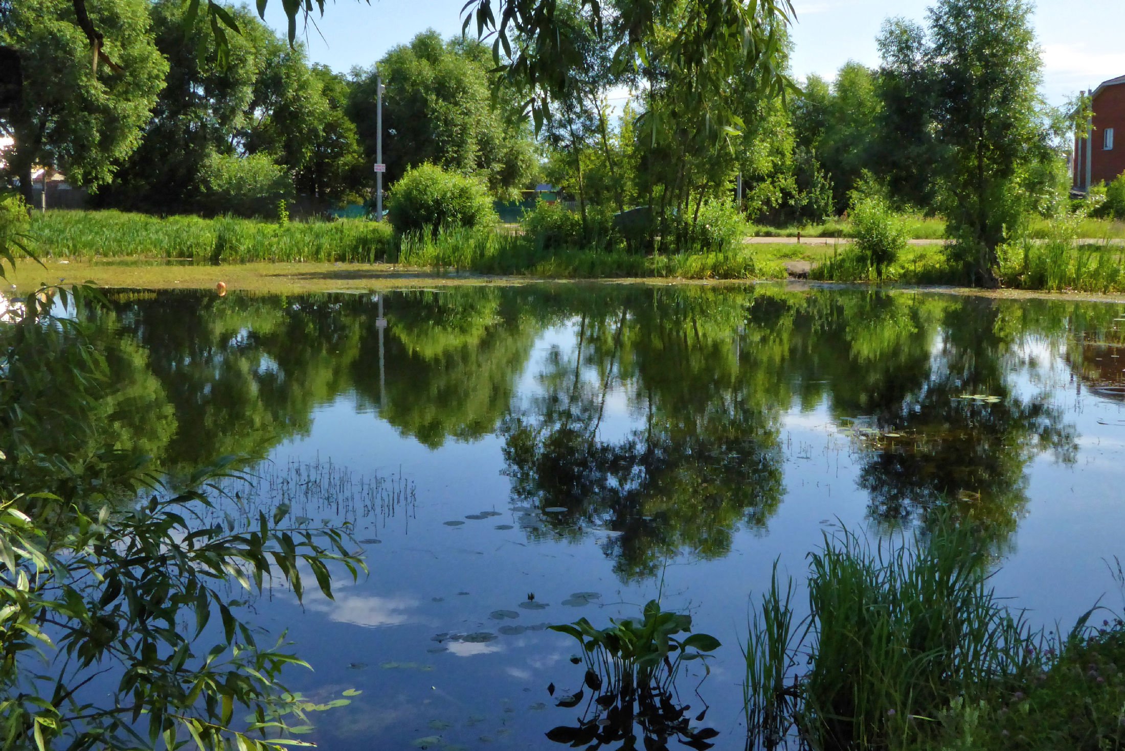 Городской водоем. Ершовский пруд Удмуртия. Ликино пруд. Городской пруд фото. Водоем гора в Ликино.