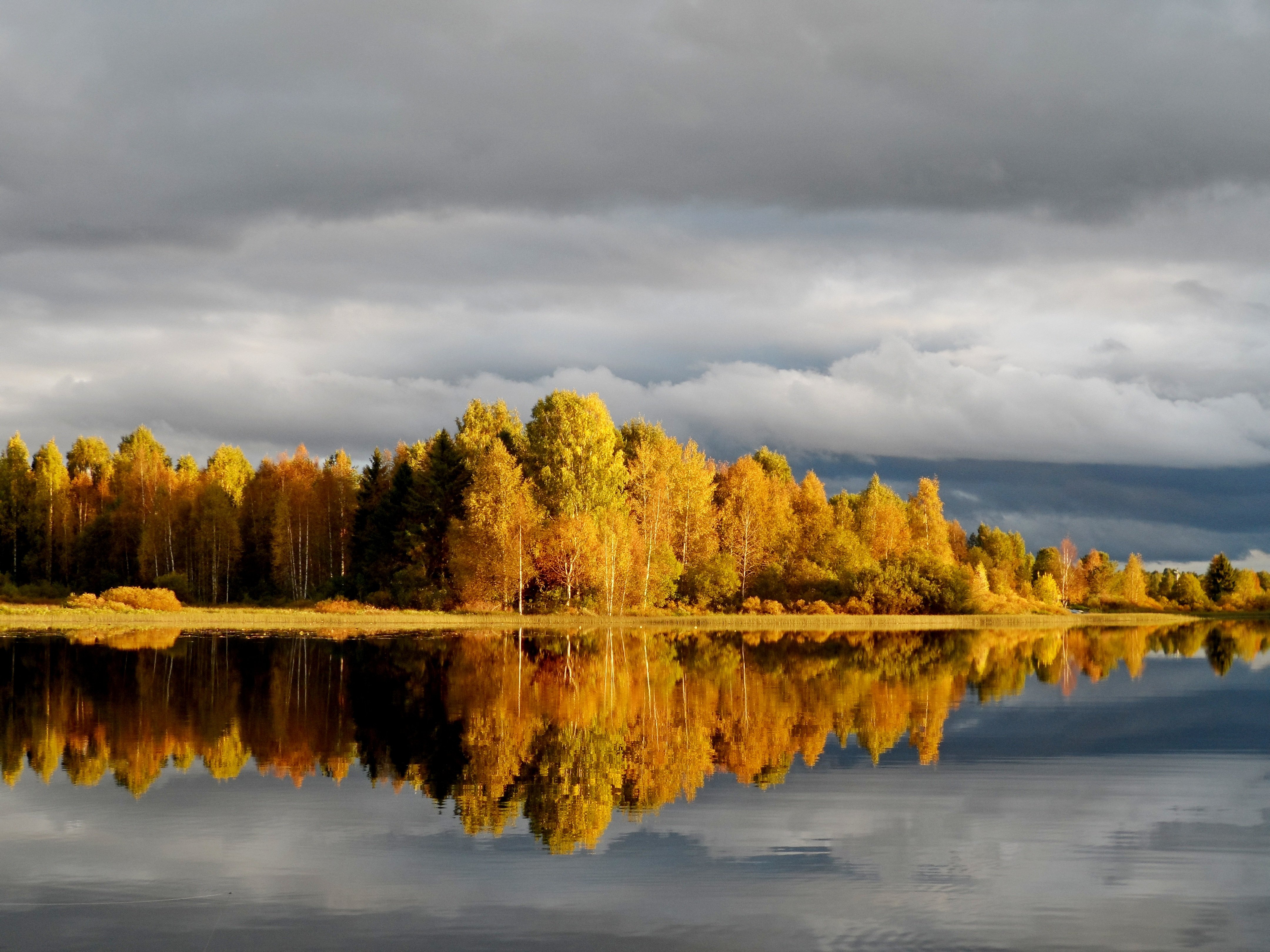 Кемское озеро Вологодская область Вытегорский район