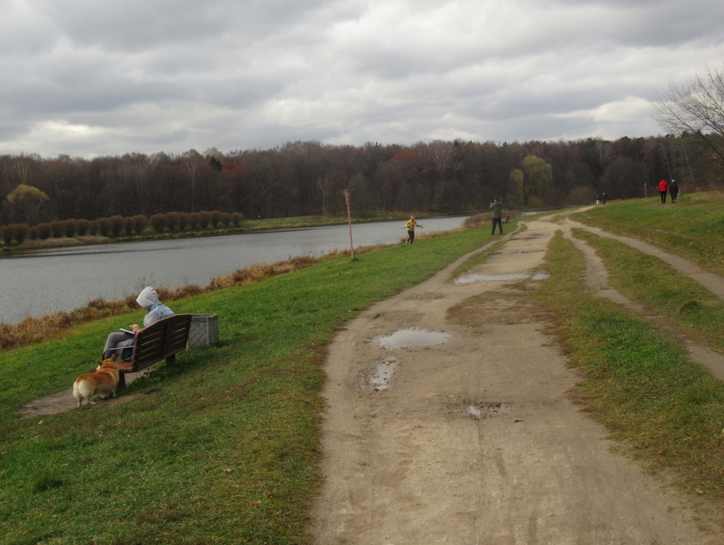 осень на  берегу пруда Лебедянского