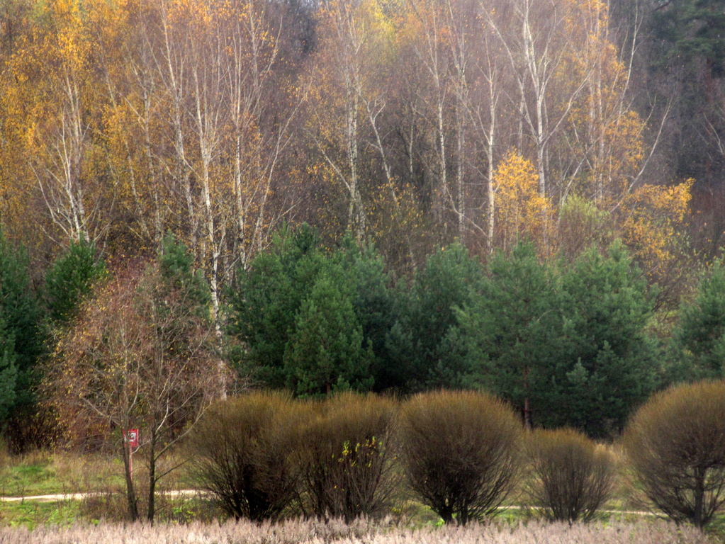 многослойность нынче в тренде)