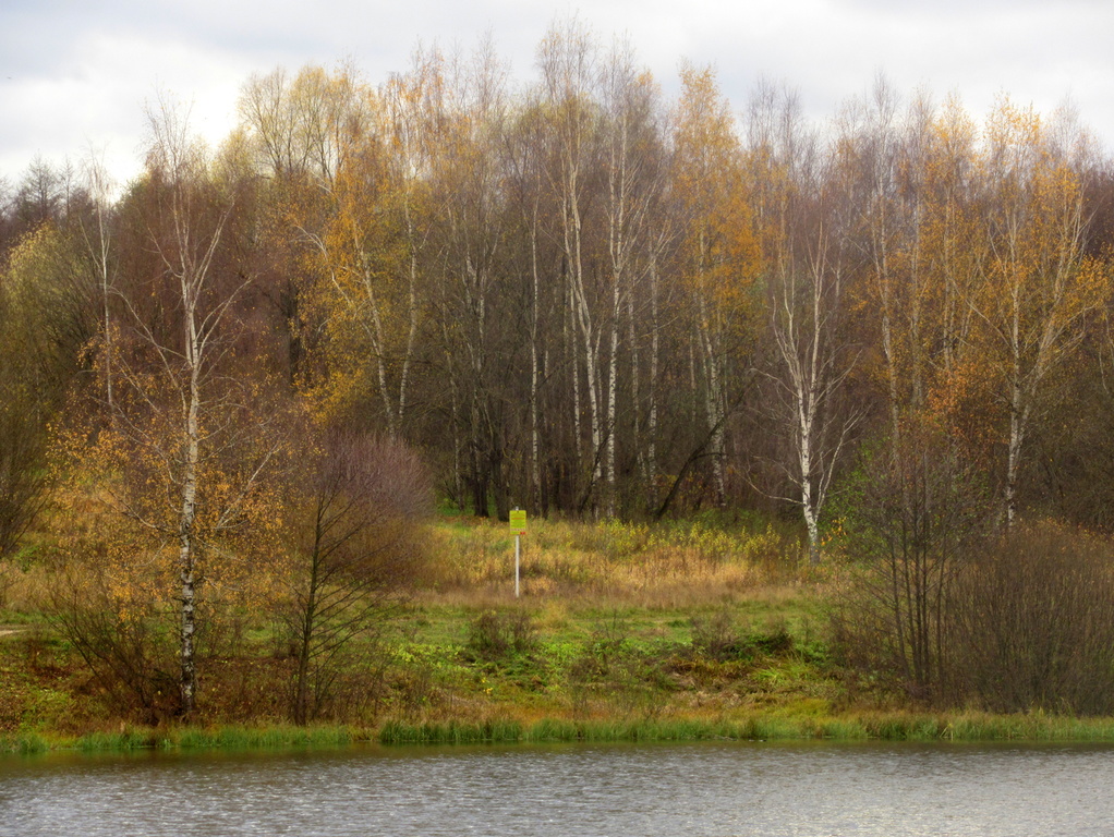 осенний пейзаж, 23.10.21