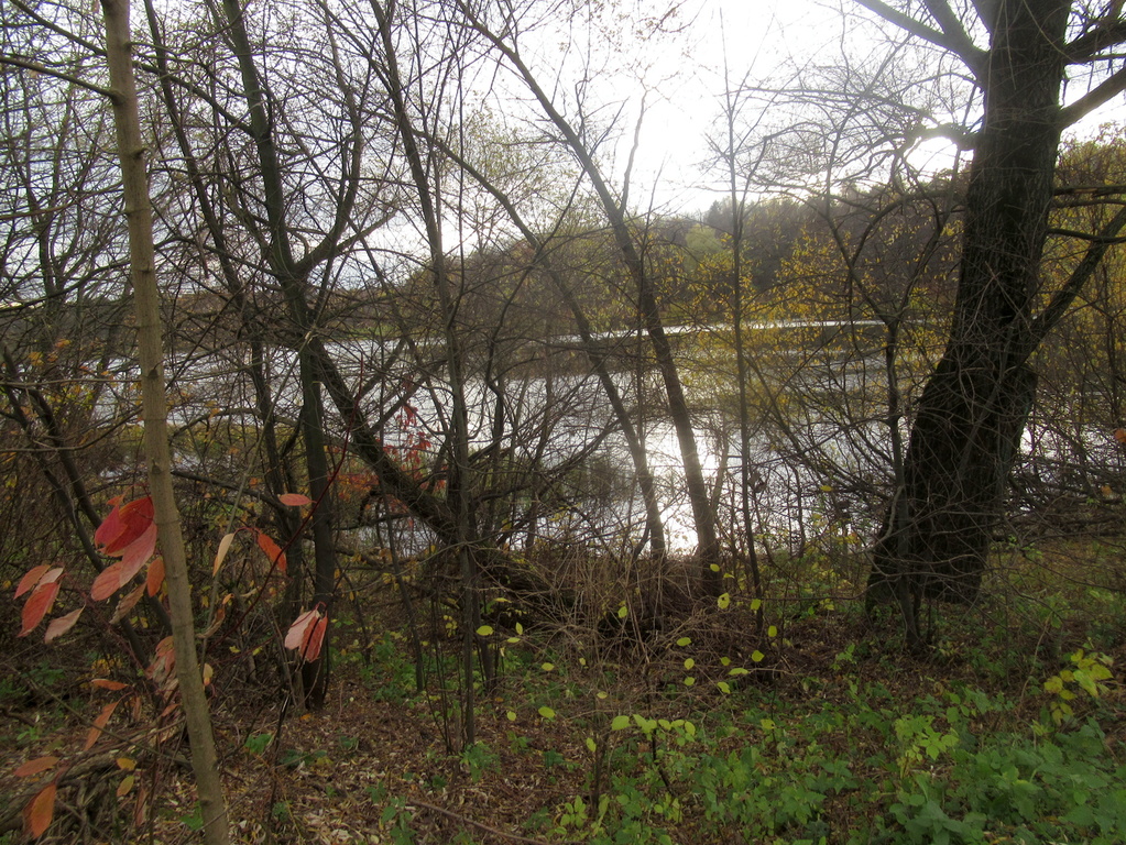в уголке таилась осень