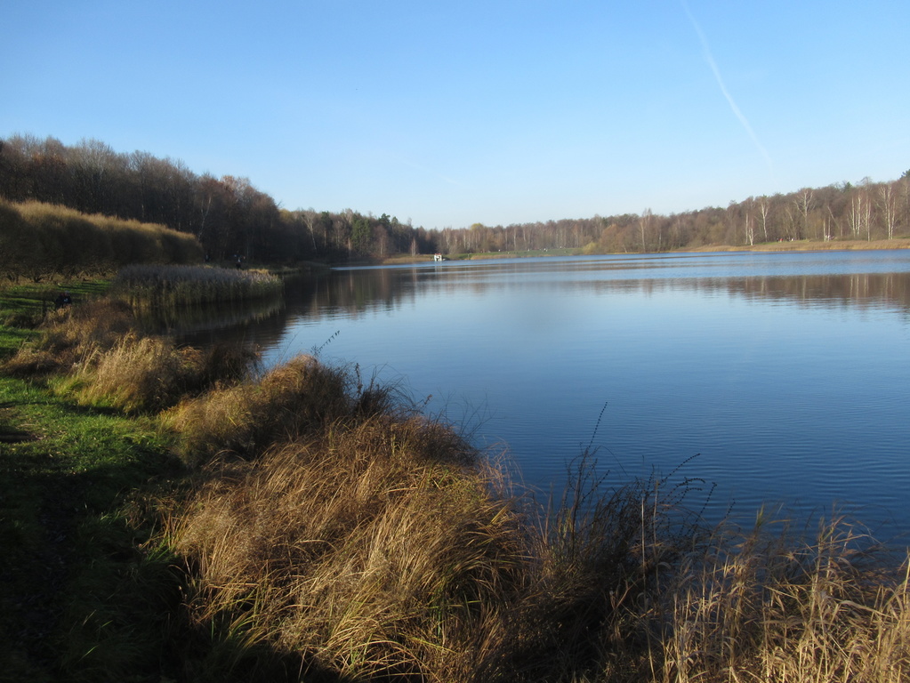 30 октября 2021