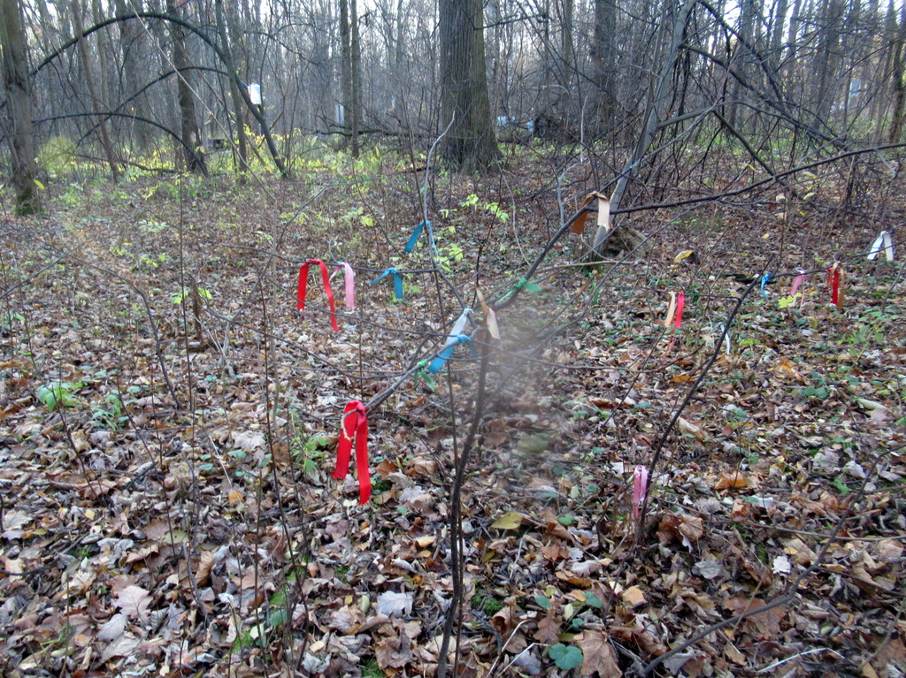 место Силы?