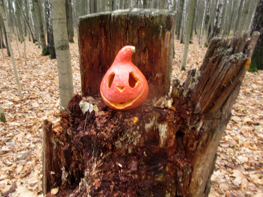 посеялись в лесу Хеллоуинчики) 