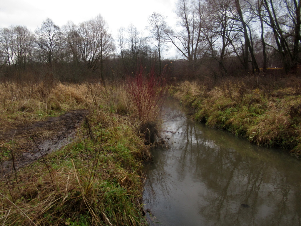 Берега Серебрянки, 4.11.21
