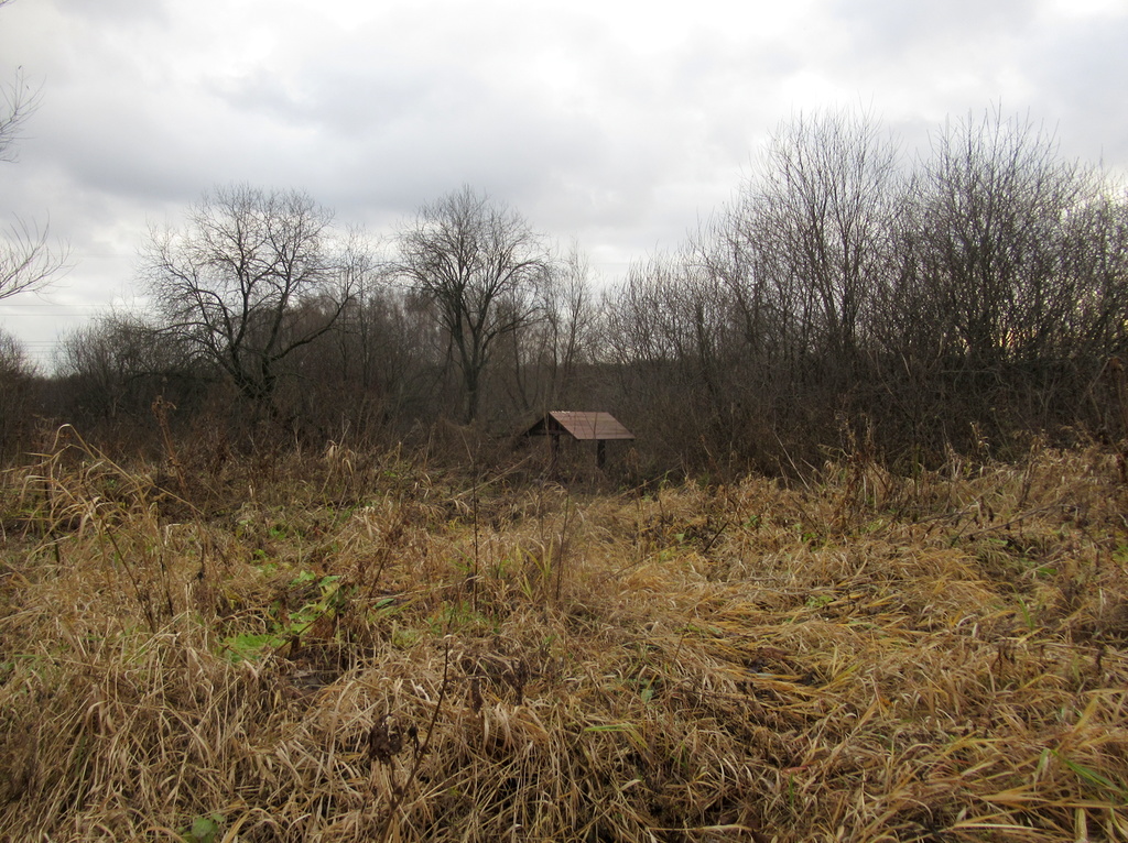 лес обнажился, поля опустели