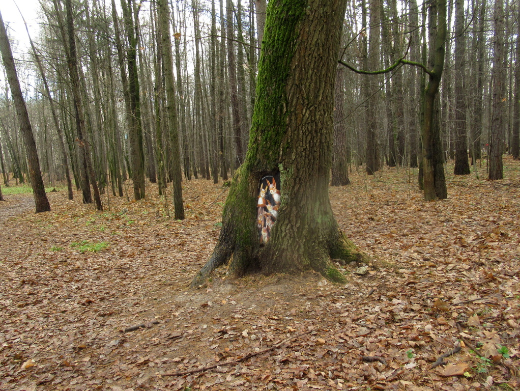 беличье гнездышко