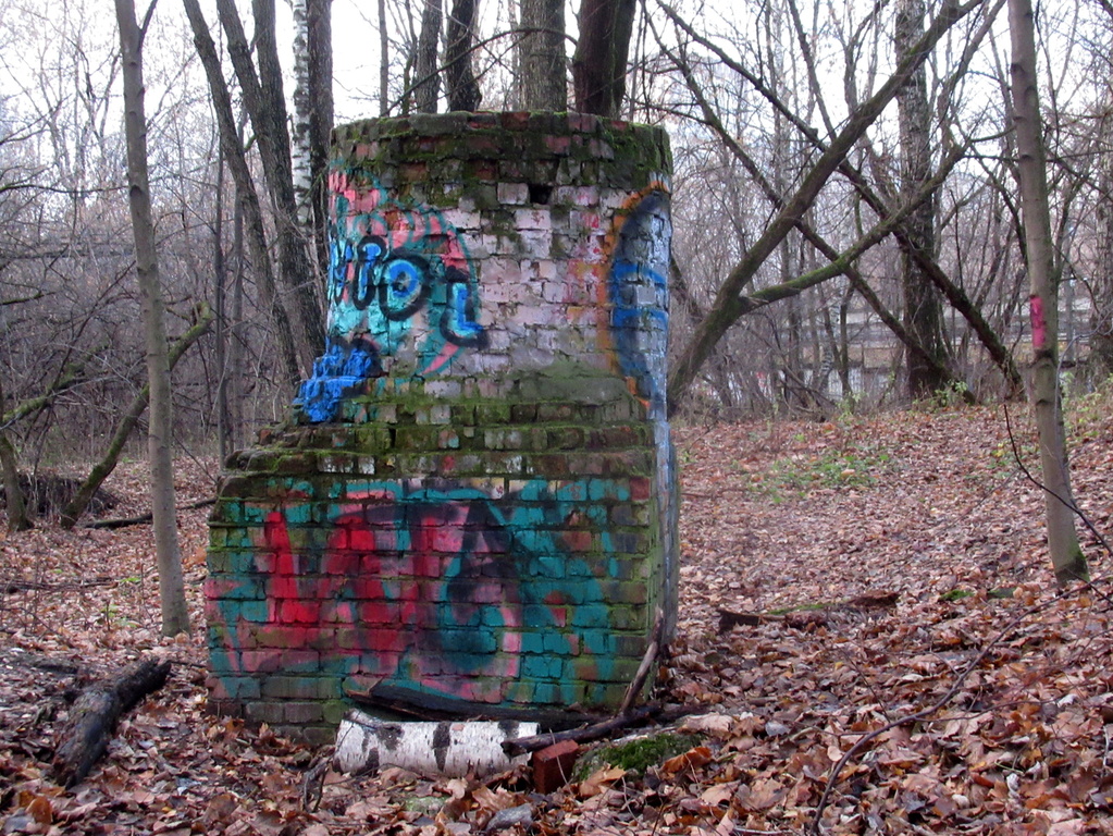 в обнажившемся лесу