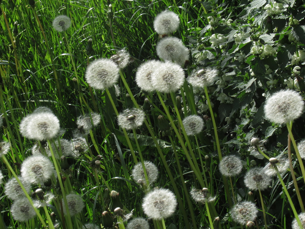 время стареть...