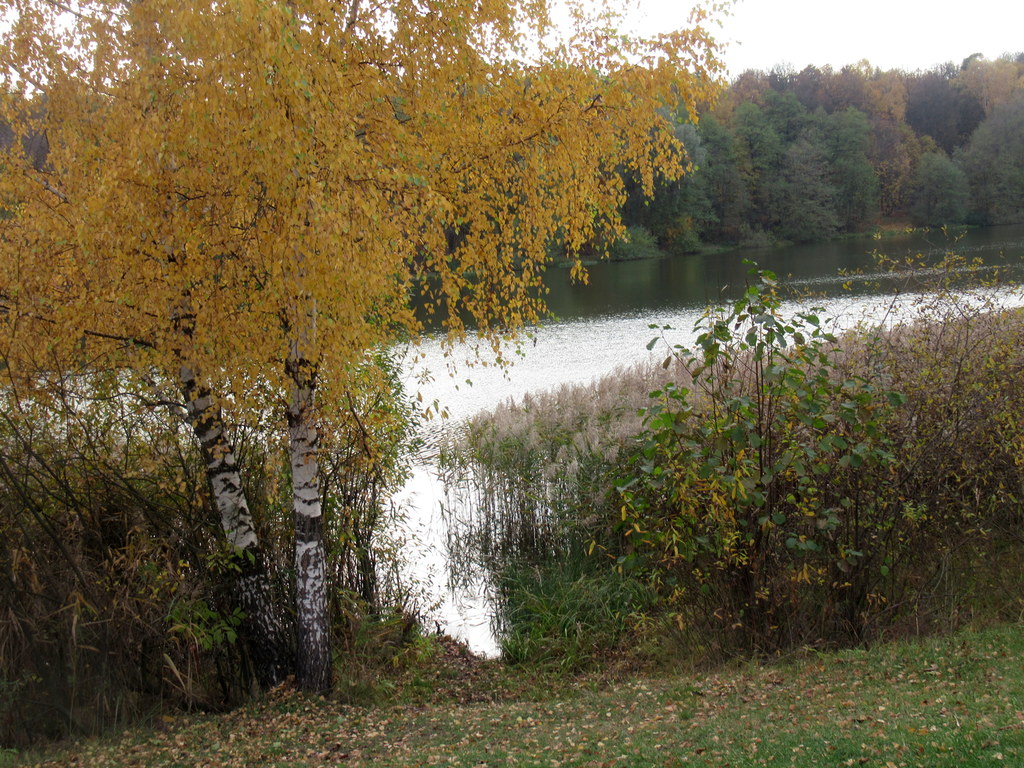 у озера осень