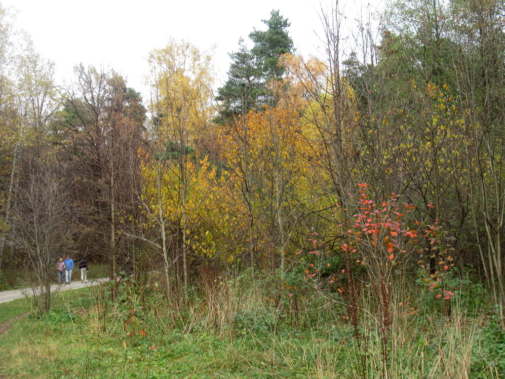 пейзаж октября