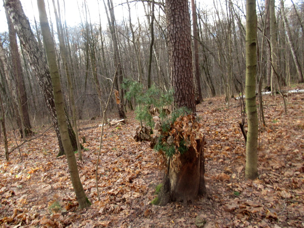 ожидание снега