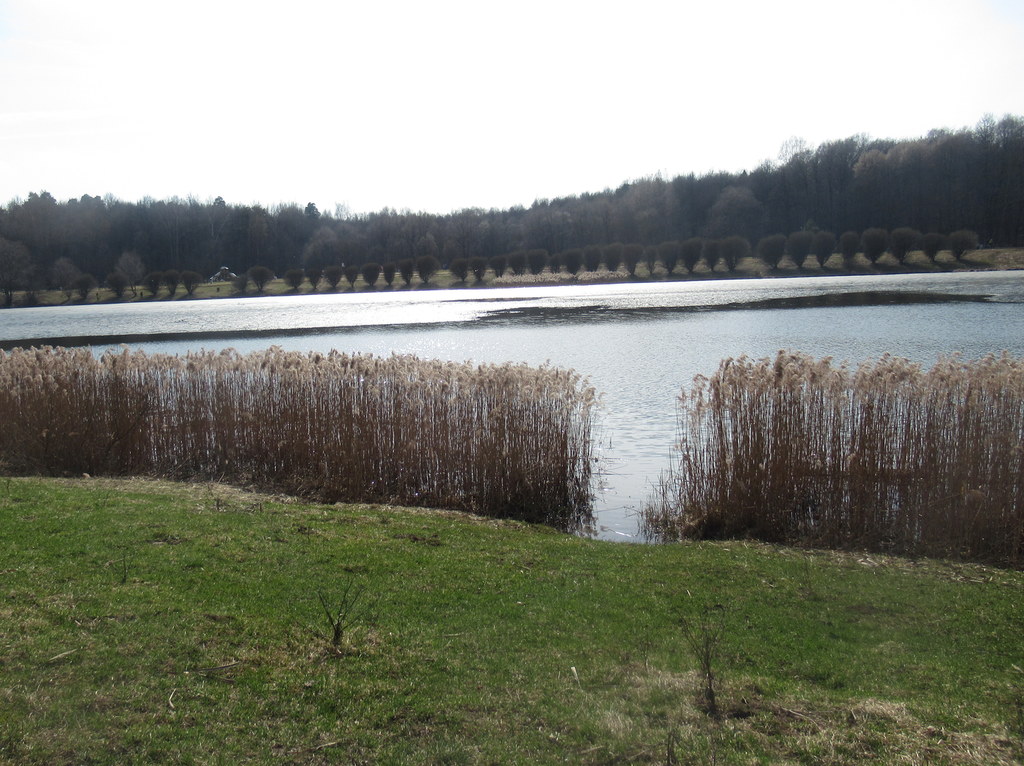 Лебедянский пруд