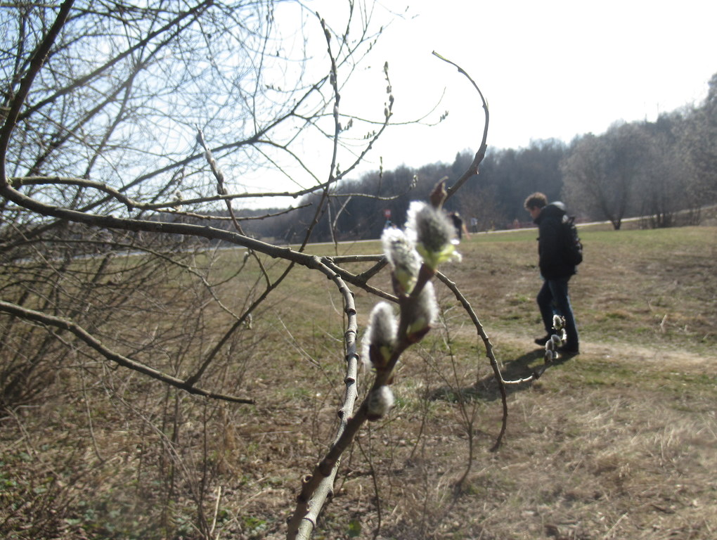 весна пришла