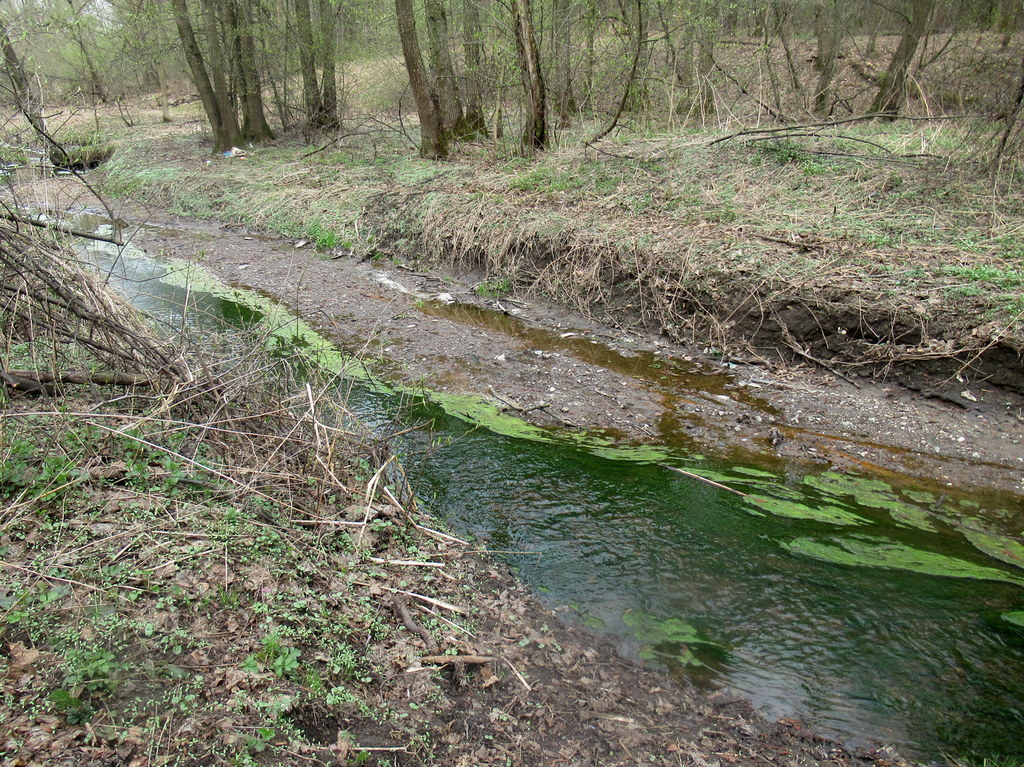 весна на ручье